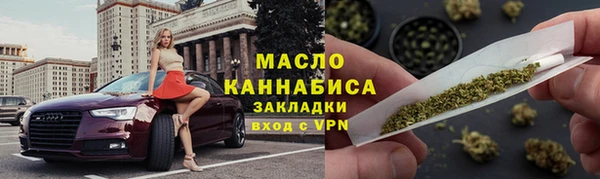 хмурый Ельня