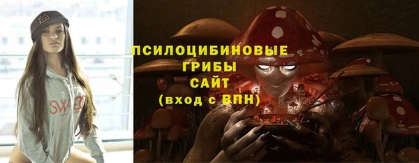 МДПВ Дмитров