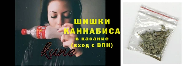 ECSTASY Дмитриев