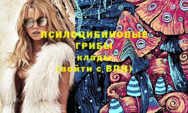 МДПВ Дмитров