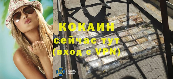 дмт Дмитровск