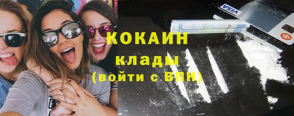 ECSTASY Дмитриев