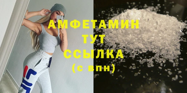 хмурый Ельня