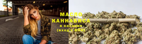 дмт Дмитровск